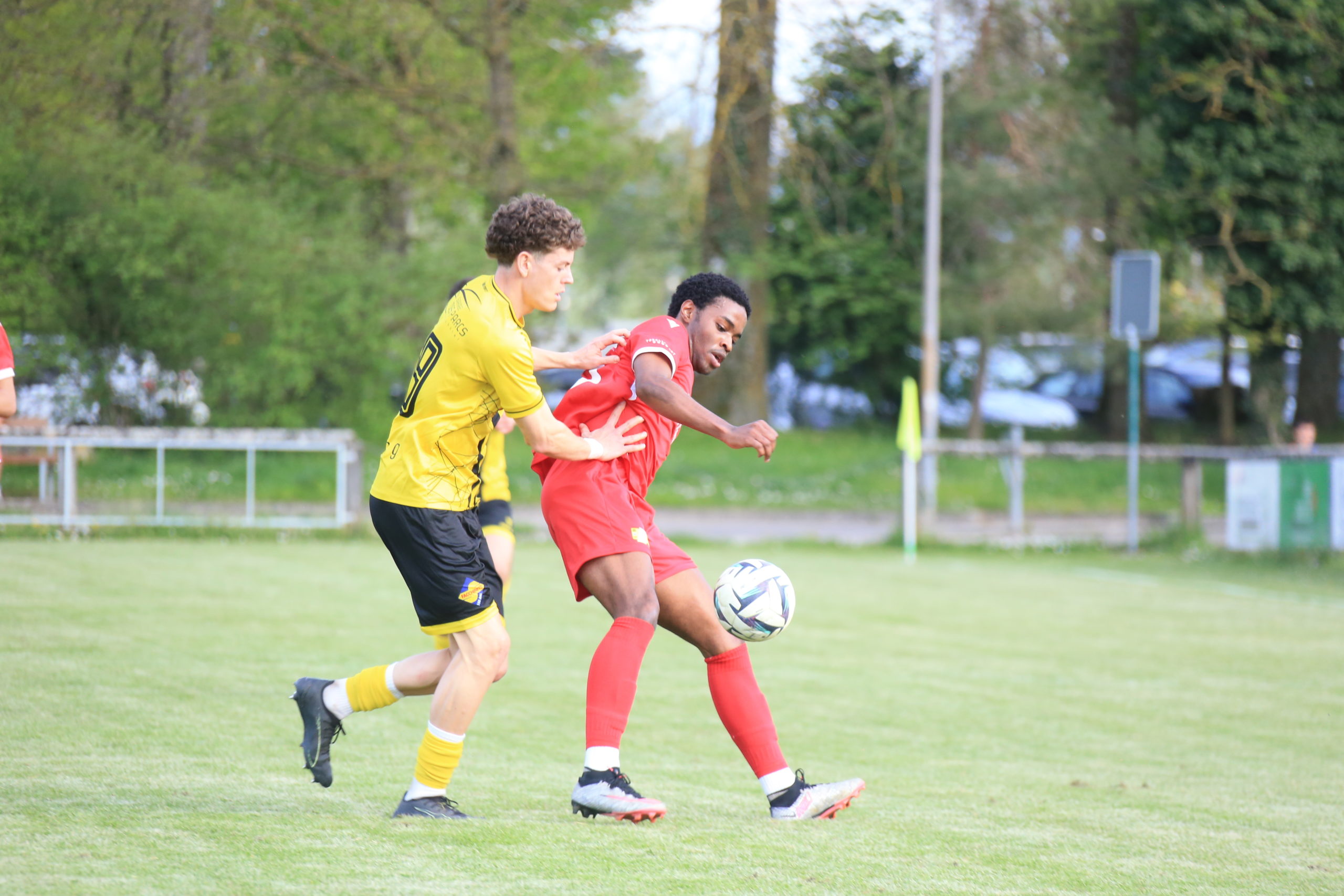 Marin - Beroche (20)