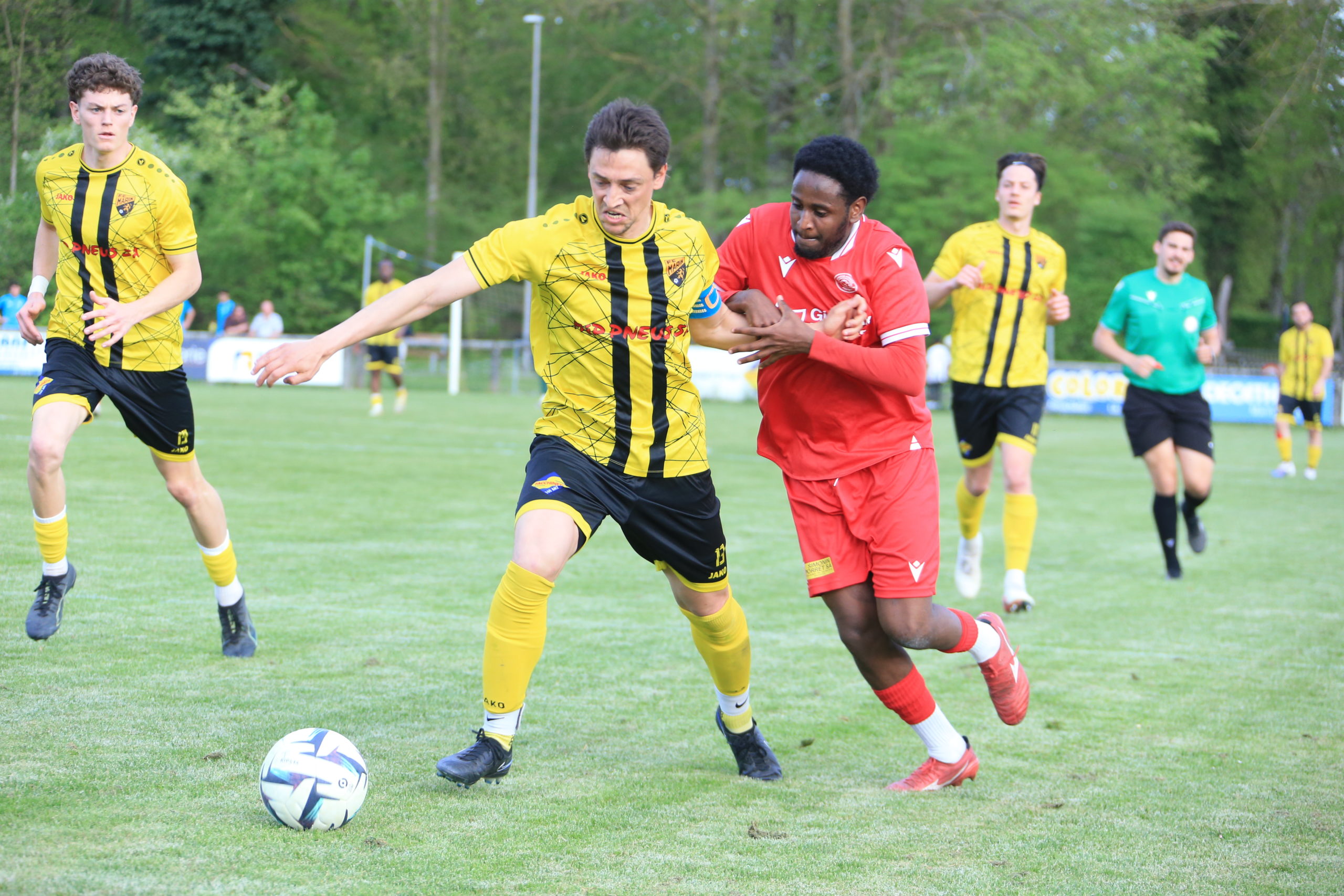 Marin - Beroche (23)